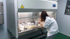 Biosafety Cabinets Class II Type A2 Microbiological Safety Tissue Culture Hoods NSF And EN12469 Certified