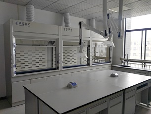 Xunling lab fume hoods in Xi'an Libang Pharmaceutical Co.,Ltd